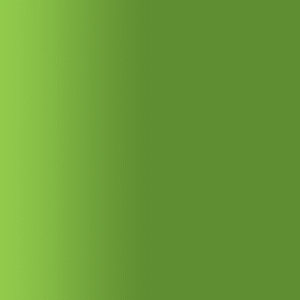 TOUCH UP PAINT PEN AUDI LX6V JASPER GREEN 2000-