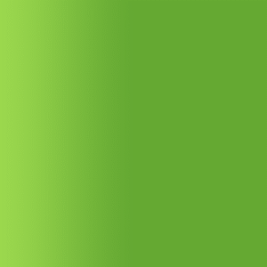 TOUCH UP PAINT PEN AUDI Y6K PARADIESGRUEN 1996-2000