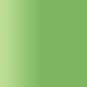 TOUCH UP PAINT PEN AUDI LC6W PEARL GREEN COLLECTION 2000-