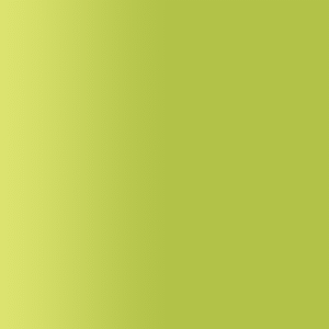 TOUCH UP PAINT PEN AUDI Z6V SCHILF 1982-1985