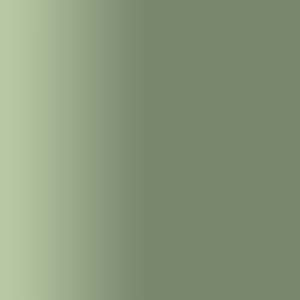 TOUCH UP PAINT PEN AUDI LZ6L CACTUS GREEN 1998-