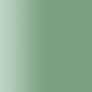 TOUCH UP PAINT PEN AUDI LA6P COSMIC GREEN 1999-