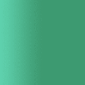 TOUCH UP PAINT PEN AUDI D6W VENEZIENGRUEN 2002-2016