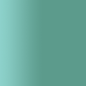 TOUCH UP PAINT PEN AUDI L6T FRIESENGRUEN 1996-1998