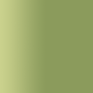 TOUCH UP PAINT PEN AUDI 20C MOOSGRUEN 1981-