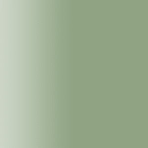 TOUCH UP PAINT PEN AUDI LX6W GOTLANDGRUN 2015-20