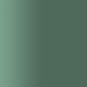 TOUCH UP PAINT PEN AUDI LX6M DISTRIKTGRÜN 2019-