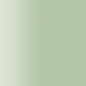 TOUCH UP PAINT PEN AUDI LX6Z SILBERGRUEN 2002-2007