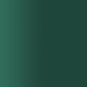 TOUCH UP PAINT PEN AUDI LX6B TIOMANGRUEN 2017-2021