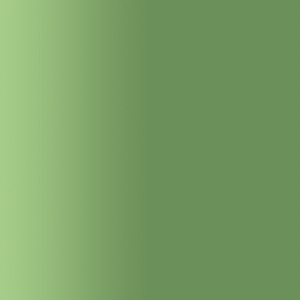 TOUCH UP PAINT PEN AUDI LY6Q FARNGRUEN 1999-2005