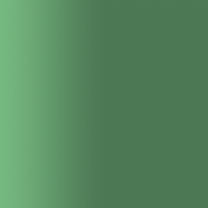 TOUCH UP PAINT PEN AUDI LX6A KAILASH GREEN 2017