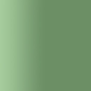 TOUCH UP PAINT PEN AUDI LZ6C SCHILFGRUEN 2002-2004