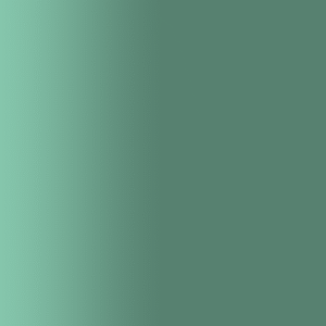 TOUCH UP PAINT PEN AUDI Y6S TALISMANGRUEN 1999-2004