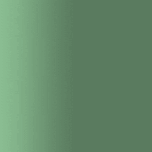 TOUCH UP PAINT PEN AUDI LX6P AVALONGRUEN 2017-2021