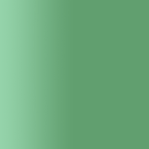 TOUCH UP PAINT PEN AUDI LX6S AZOREGRUN 2016-20