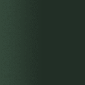 TOUCH UP PAINT PEN AUDI X6F MITTERNACHTSGRÜN 2024-