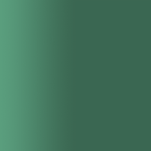 TOUCH UP PAINT PEN AUDI LZ6B MONTEREYGRUEN 2006-2009