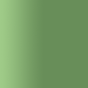 TOUCH UP PAINT PEN AUDI LX6Y PLANTANENGRUEN 2005-2009