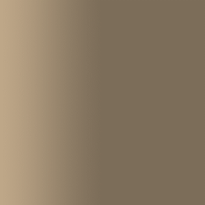 TOUCH UP PAINT PEN AUDI LX6H ROAST TEA 2024-