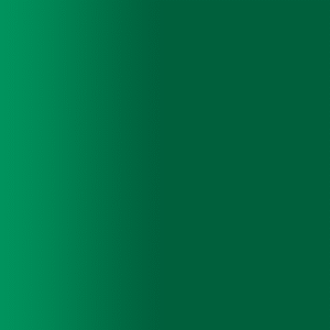 TOUCH UP PAINT PEN AUDI PGT ALPINE GREEN 1998-1999