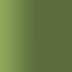 TOUCH UP PAINT PEN AUDI LX6U CAMOUFLAGEGRUN 2015-20