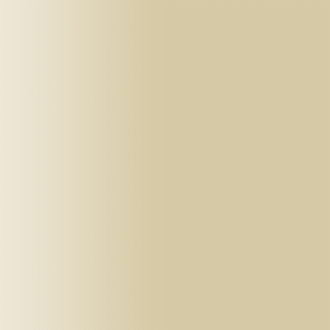 TOUCH UP PAINT PEN AUDI 791 DUNE BEIGE 2004-2009