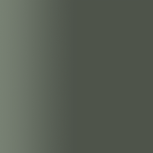 TOUCH UP PAINT PEN AUDI A-A204837-5E4 TAPENADE 2024-