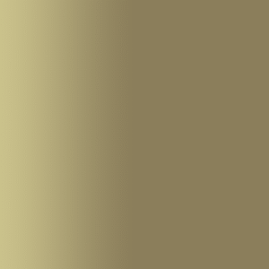 TOUCH UP PAINT PEN SAAB 201 BRONS