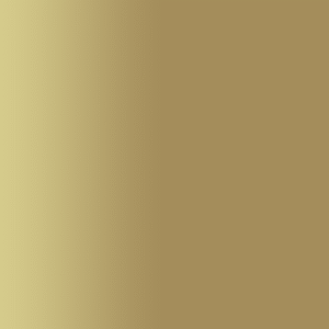 TOUCH UP PAINT PEN RAL 1019 GRAUBEIGE