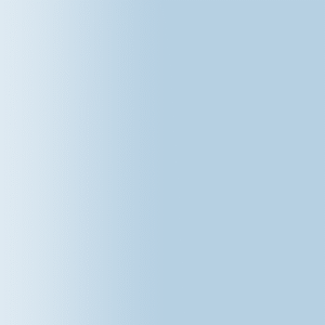 TOUCH UP PAINT PEN AUDI Z5P DISTEL 1993