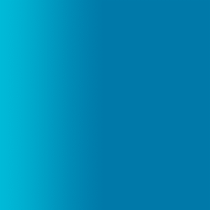 TOUCH UP PAINT PEN RAL 5019 CAPRIBLAU