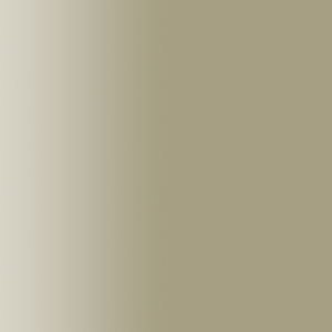 TOUCH UP PAINT PEN SAAB 197 SILVER BRONS