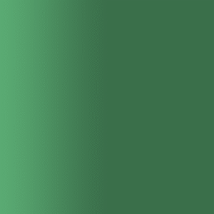 TOUCH UP PAINT PEN SAAB 301 ARBOR GREEN