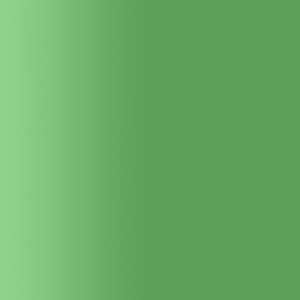 TOUCH UP PAINT PEN SAAB 273 SUNGREEN