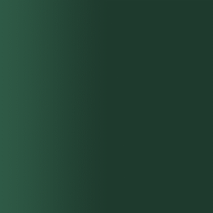 TOUCH UP PAINT PEN RAL 6009 TANNENGRUEN