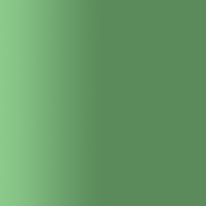 TOUCH UP PAINT PEN SAAB 255 GRUEN PEARL