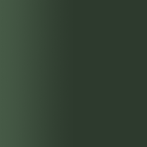 TOUCH UP PAINT PEN RAL 6008 BRAUNGRUEN