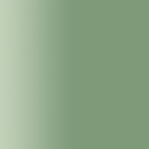 TOUCH UP PAINT PEN SAAB 254 WILLOW GREEN