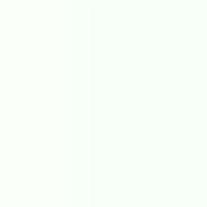 TOUCH UP PAINT PEN AUDI LX6X MINTWEISS 2011-2012