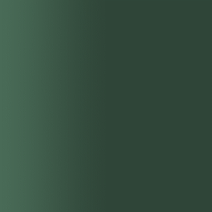 TOUCH UP PAINT PEN RAL 6005 MOOSGRUEN