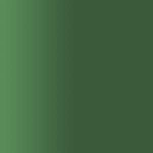 TOUCH UP PAINT PEN SAAB 140B PINJEGRON