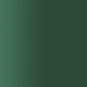 TOUCH UP PAINT PEN RAL 6000 PATINAGRUEN