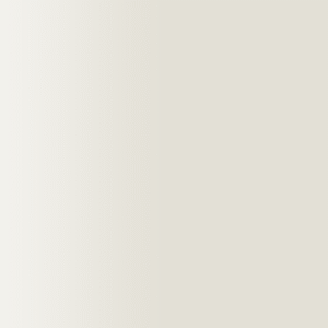 TOUCH UP PAINT PEN RAL 1013 PERLWEISS