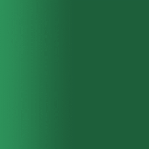 TOUCH UP PAINT PEN SAAB GN10H SMARAGDGRUN