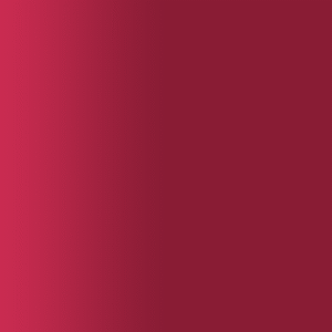 TOUCH UP PAINT PEN AUDI Z4W BEERE 1999-2005