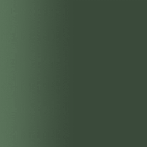 TOUCH UP PAINT PEN SAAB 311 GLASS DARK