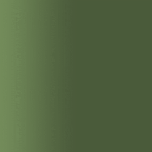 TOUCH UP PAINT PEN SAAB 307 PEPPER GREEN, LODEN