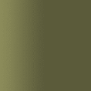 TOUCH UP PAINT PEN RAL 6022 BRAUNOLIV