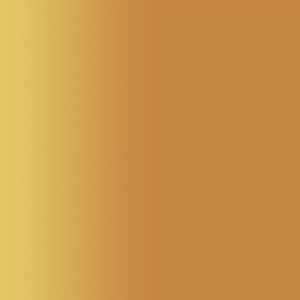 TOUCH UP PAINT PEN AUDI N3L ARENAROT 1996-1997