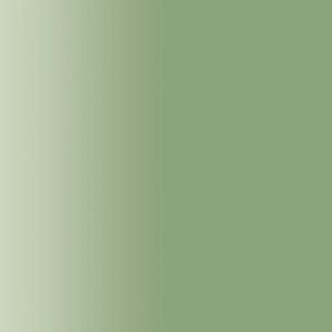 TOUCH UP PAINT PEN RAL 6021 BLASSGRUEN